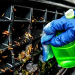 Фото по теме: Чем отмыть следы насекомых с решетки радиатора