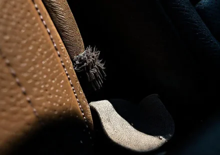 Фото по теме: Способ очистки стыков между сиденьем и консолью